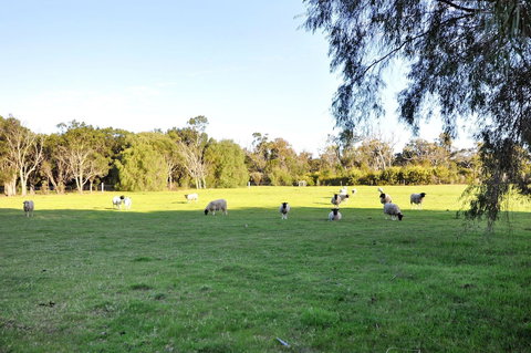 Tree Elle - New South Wales Tourism  6