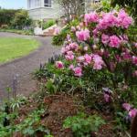 Anabels Of Scottsdale - New South Wales Tourism  0