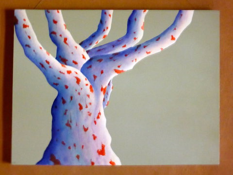 Wildwood Guesthouse - New South Wales Tourism  4