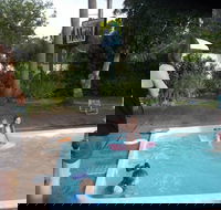 Corlette Palms Motor Inn - New South Wales Tourism 