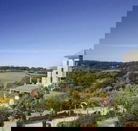 Morning Sun Vineyard - New South Wales Tourism 