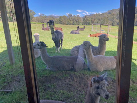 Valley Farm Vineyard Cottages - New South Wales Tourism  2