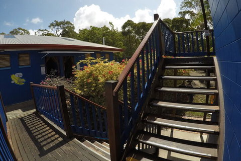 Cool Bananas Backpackers - New South Wales Tourism  5