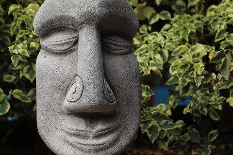 Cool Bananas Backpackers - New South Wales Tourism  1