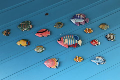 Cool Bananas Backpackers - New South Wales Tourism  3