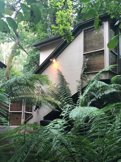 Linden Gardens Rainforest Retreat - New South Wales Tourism  2