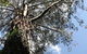Gatehouse Cottage At Merrow Cottages - Mt Dandenong - thumb 4