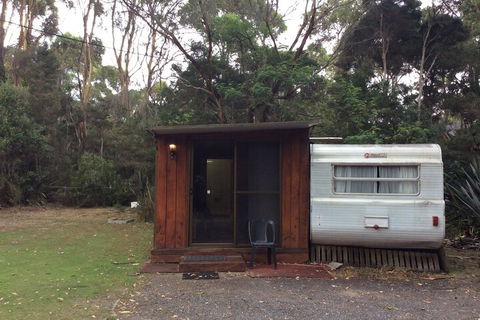 Crayfish Creek Van & Cabin Park - New South Wales Tourism  1