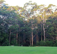 Tinglewood Cabins - New South Wales Tourism 