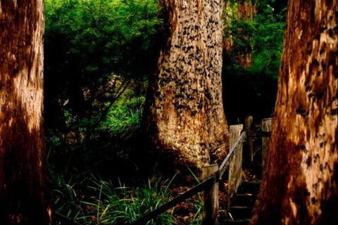 Billa Billa Farm Cottages - New South Wales Tourism  2