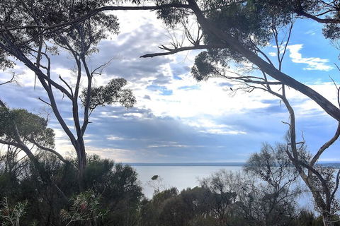 Wanderers Rest Of Kangaroo Island - New South Wales Tourism  7
