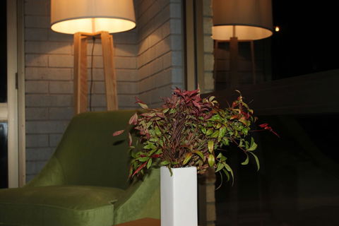 Mount Gambier International Motel - New South Wales Tourism  1