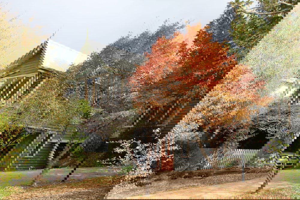 Rhyll VIC New South Wales Tourism 