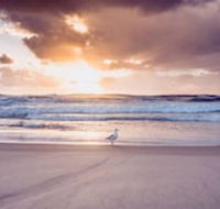 Blue Waters Motel - New South Wales Tourism 