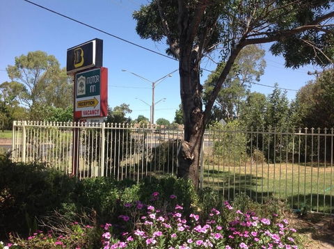 Forest Lodge Motor Inn & Restaurant - New South Wales Tourism  3