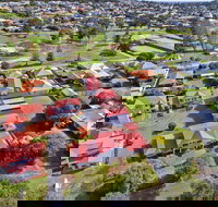 Pelicans Albany - New South Wales Tourism 