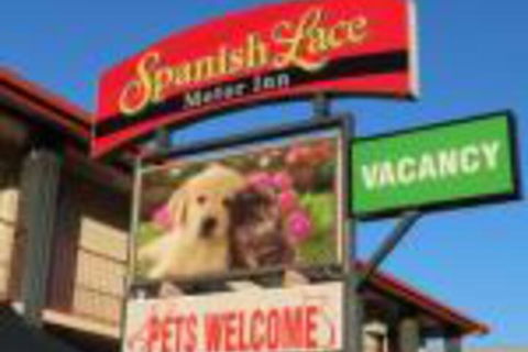 Spanish Lace Motor Inn - New South Wales Tourism  0