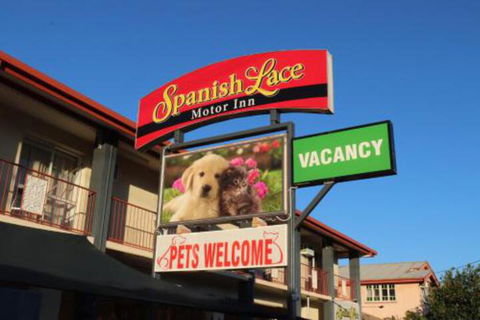 Spanish Lace Motor Inn - New South Wales Tourism  3