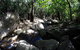 Mungumby Lodge - Cooktown - thumb 2