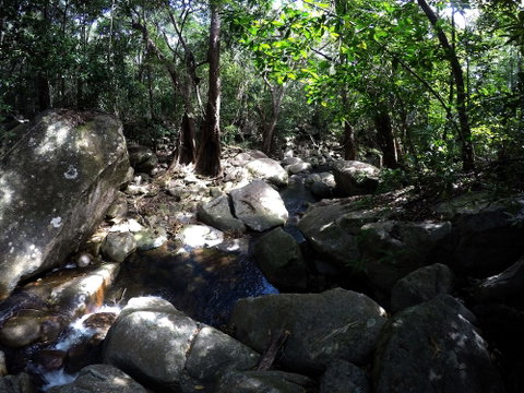 Mungumby Lodge - Cooktown - New South Wales Tourism  2