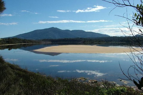 Bermagui Motor Inn - New South Wales Tourism  3