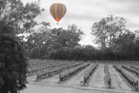 Adina Vineyard - New South Wales Tourism  5