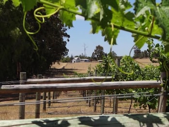 Big Brook Cottages - New South Wales Tourism  4