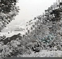 Alpenhorn - New South Wales Tourism 