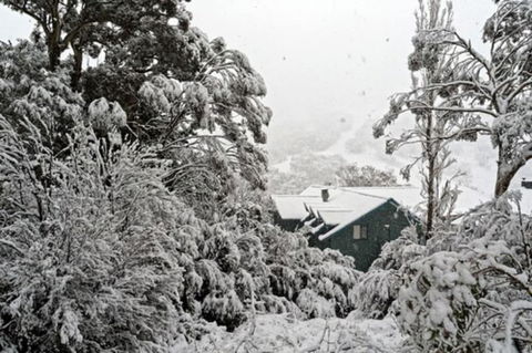 Alpenhorn - New South Wales Tourism  0