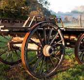 Toorongo River Sanctuary - New South Wales Tourism 