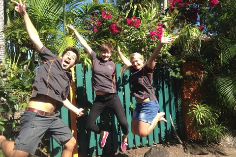 JJs Backpackers Hostel - New South Wales Tourism  6