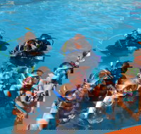 Warrnambool Motel and Holiday Park - New South Wales Tourism 