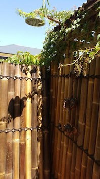 Anchorage Guest House - New South Wales Tourism  4