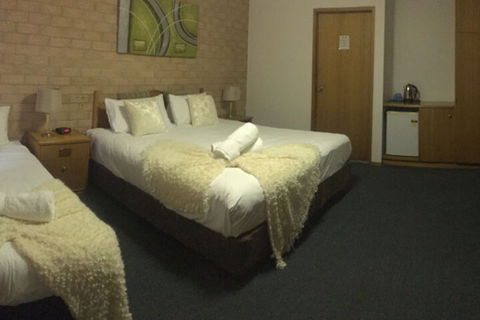 Golden Chain Aalana Motor Inn - New South Wales Tourism  7