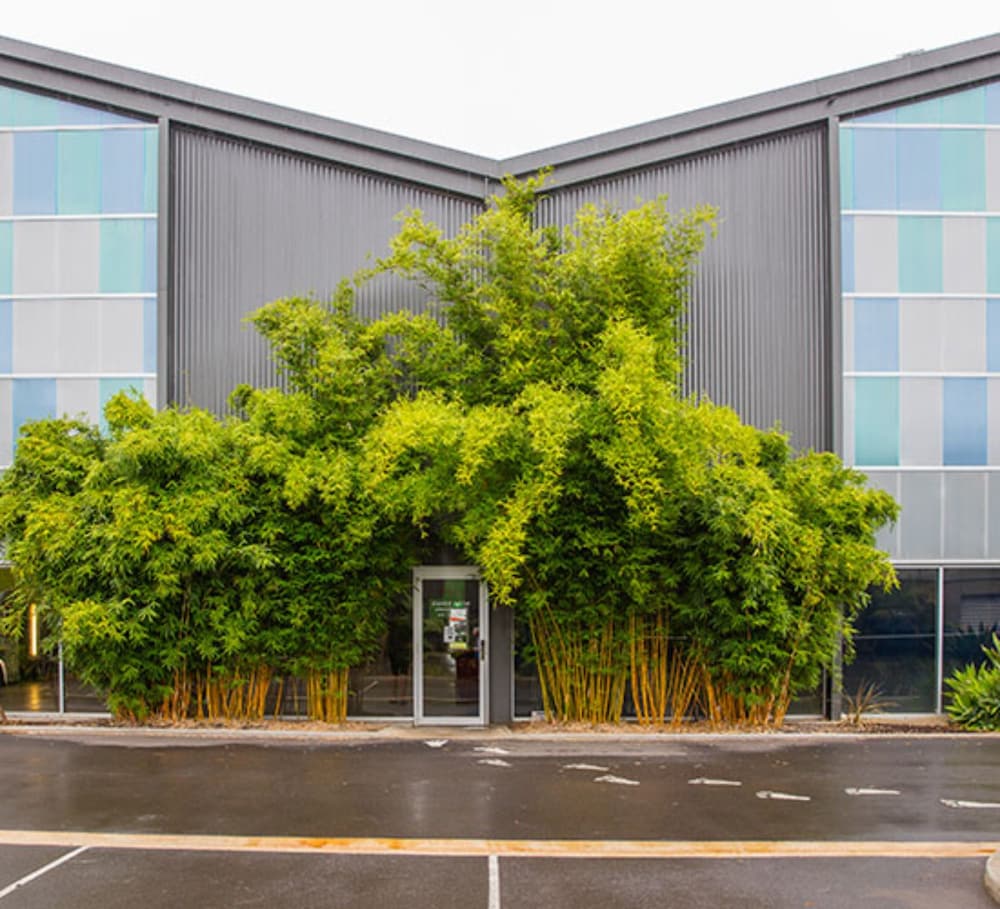  New South Wales Tourism 