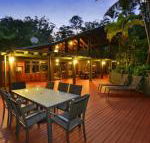 Wait a While Daintree