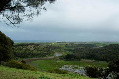 Birch House Koroit - New South Wales Tourism  7