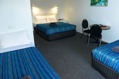 Bandicoot Motor Inn - New South Wales Tourism  1