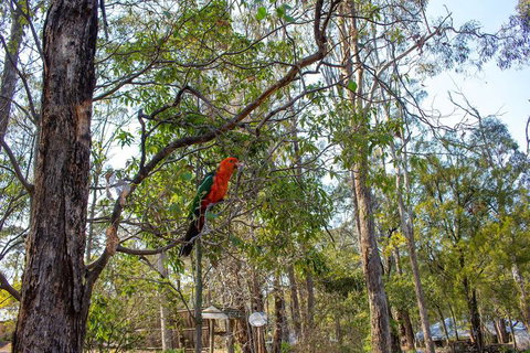 Kalimna Woods Cottages - New South Wales Tourism  2