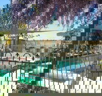 Must Love Dogs Bb - New South Wales Tourism 