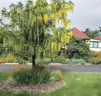 Hamlet Downs Country Accommodation - New South Wales Tourism 