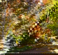 Chalets Lumineux - New South Wales Tourism 