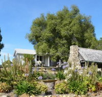 Sassafras Springs - New South Wales Tourism 