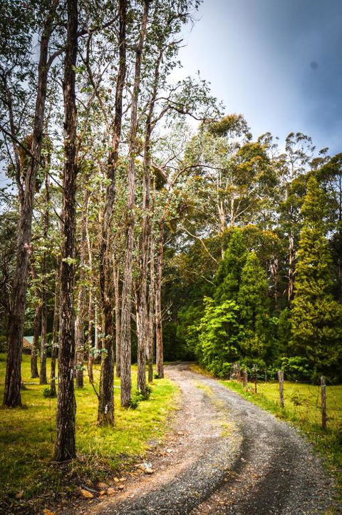 Ghost Hill Road Retreat - New South Wales Tourism  2