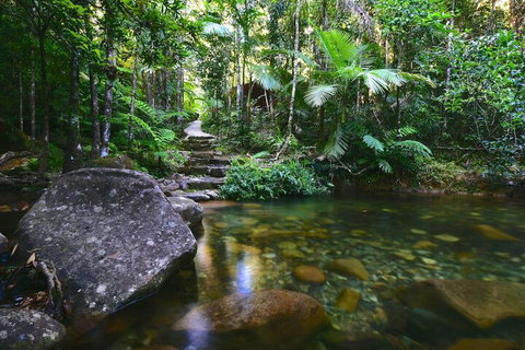 Daintree Cascades - New South Wales Tourism  2