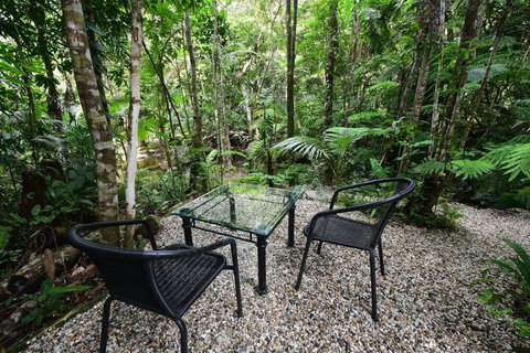Daintree Cascades - New South Wales Tourism  4