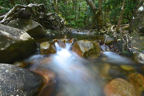 Daintree Cascades - New South Wales Tourism  1