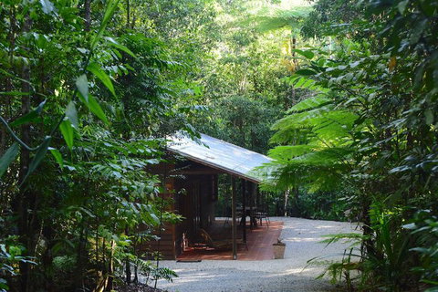 Daintree Cascades - New South Wales Tourism  3
