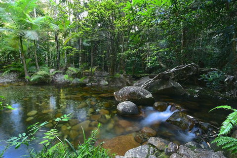 Daintree Cascades - New South Wales Tourism  5