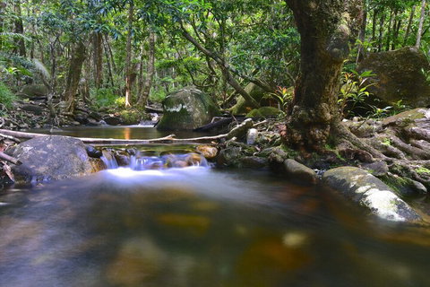 Daintree Cascades - New South Wales Tourism  6